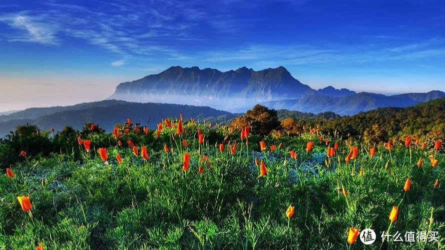 《环保材料在装饰品制作中的应用研究》